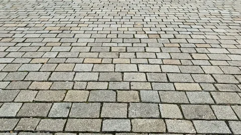 Tilt up to univesity of Mannheim Stock Footage 126566606