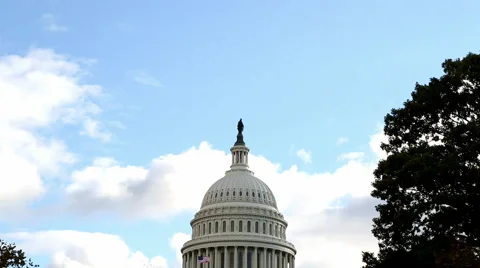 Tilt on U.S. Capitol in Washington, DC Stock Footage 51541659