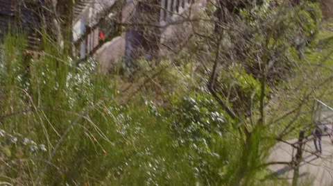Tilt up to View of city of Seattle Stock Footage 63853079