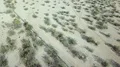 tilt up to view drone vertical maneuvers HD Footage