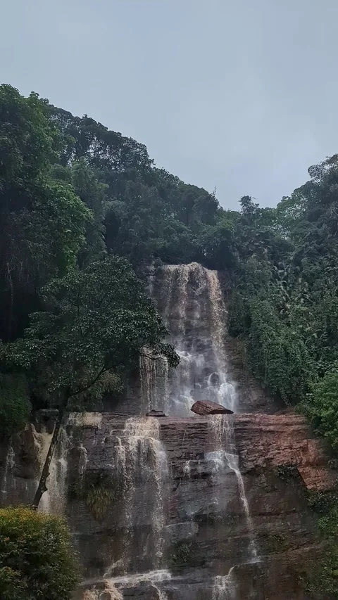 Tilt view of jhari waterfall flowing beautifully down a lush jungle cliff s.. Stock-Footage 346816900