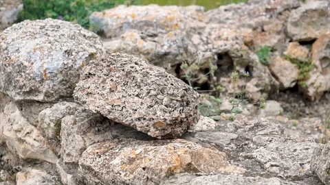 Tilt view punic necropolis, Ibiza Video stock 83045989