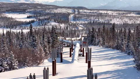 Tilt up view of the trans Alaska Pipeline covered in snow.mov Video stock 333605509