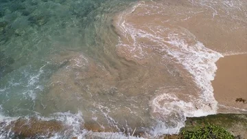 Tilt view of waves hitting clips and the Coogee beach, on a sunny summer day, Stock Footage 86043247