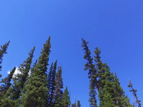 Tilt of a Waterfall Stock-Footage 77013890