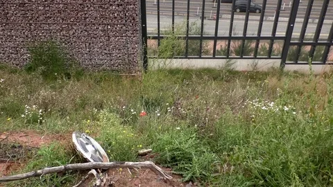 Tilt: Wheel hub cap lying near poppy next to an autobahn (German motorway) Stock Footage 80273683