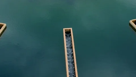 Tilt Up, Wide Shot, 30 Seconds Or Greater, Outdoors, Day, Working, Blue Collar Video stock 94100018