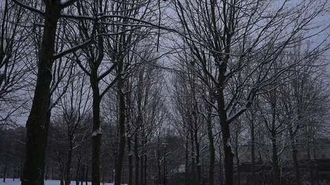 Tilt winter landscape Stock Footage 99010422