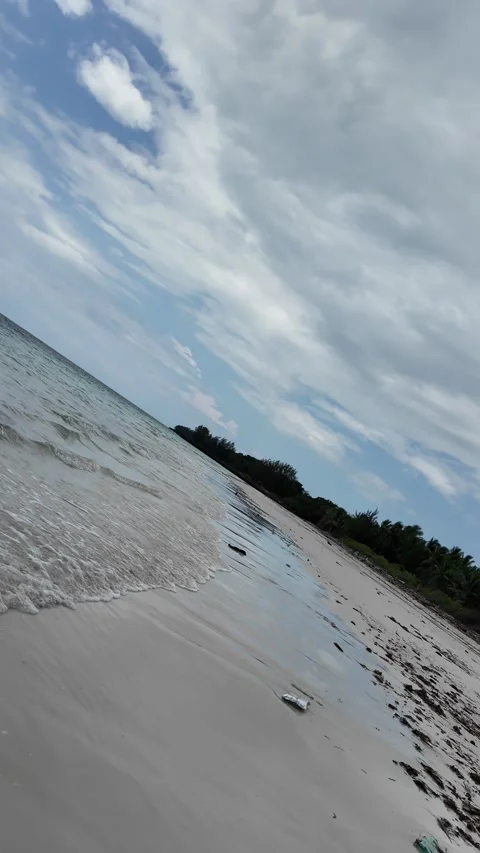 Tilted Reflection of Cloudy Blue Sky and Coastal Trees on Wet Beach Sand Vidéo 336041111