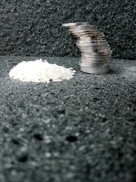 Tilted Stack of Coins with Pile of Rice – Symbolic Wealth Contrast Stock Photos