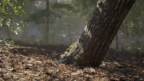 Tilted tree in a serene forest setting surrounded by fallen leaves Stock Illustration