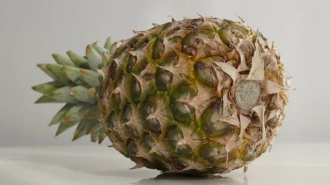 Tilting on Ananas comosus tropical fruit close-up Stock Footage 76768320