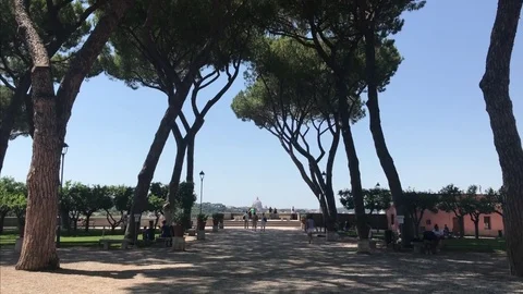 Tilting camera to reveal treetops in Orange Garden, Rome Stock-Footage 80411897