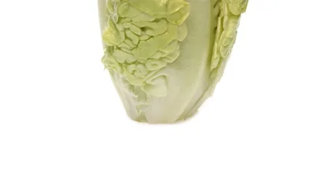 Tilting camera of romaine lettuce rotating on white background. Stock Footage 169854868