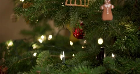 Tilting Up a Christmas Tree Vídeos de archivo 235745483