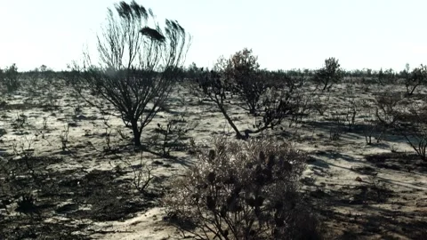 Tilting down a burnt desert landscape Vídeo Stock 301833447