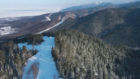 Tilting down the cam above ski resort and trees. Drone footage. Stockbeeldmateriaal 148723081