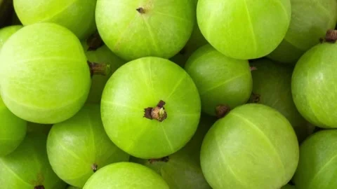 Tilting down shot of fresh green Indian gooseberries in a bowl Stock Footage 335651952