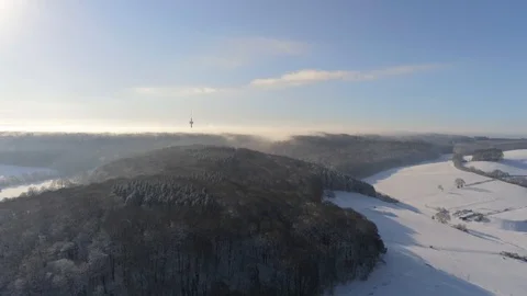 Tilting downwards over winter forrest with snow covered trees in Germany Stock Footage 103263686