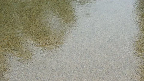 Tilting Footage Of Persistent Rain Falling On A Pool Of Water Stock Footage 146206236
