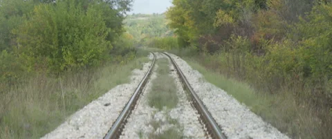 Tilting on railway line between trees in nature 4K anamorphic video Stock Footage 319003269