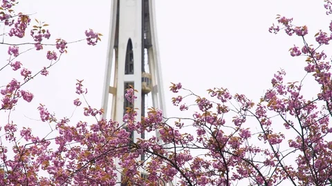 Tilting up shot, elevator going up and down in the space needle, pink Stock Footage 124824474