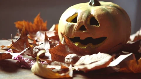 Tilting shot of pumpkin staged on the table with natural light Stock-Footage 55844145