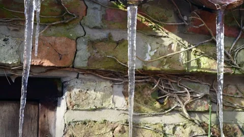 Tilting shot row of giant icicles on roof united kingdom Stock Footage 148329971