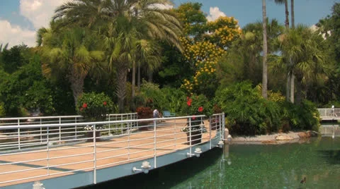 Tilting-up to the Sky from a Bridge in a Lush Garden at Seaworld Stock Footage 24157995
