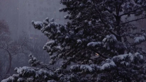Tilting Snowy Stadium Light Central Park to Skyline 스톡 동영상 71271568