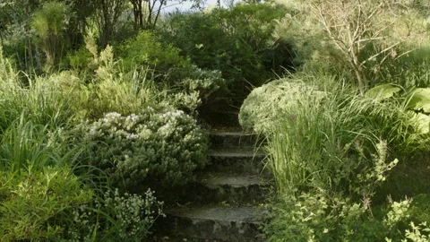 Tilting up steps / stairs leading through a natural garden Video stock 258406955