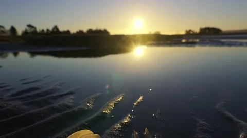 Tilting upward shot of open seashells lying on wet sand with the sun Stock Footage 234157766