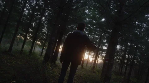 Tilting View of Silhouetted Man Committing Suicide in Dark Woods at Sunset Stock Footage 208798741