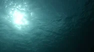 Tilts From Sun Glare Underwater To Bottom Of Sea  - Scuba Diving Under Surface Stock Footage