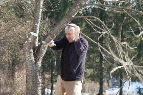 TIMBEEER Stock Photos