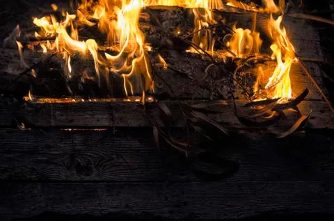 Timber and foliage on fire Stock-Fotos