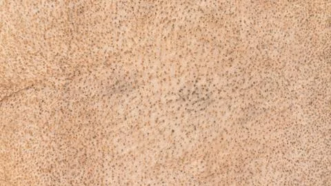 Timber background Stock Photos