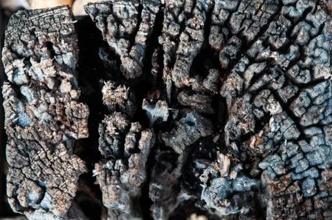 Timber background Stock Photos