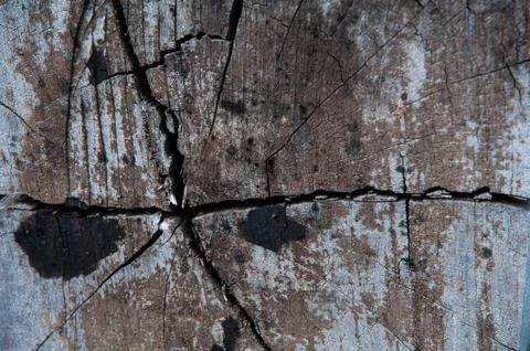 Timber background Stock Photos