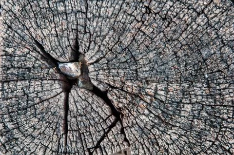 Timber background Stock Photos