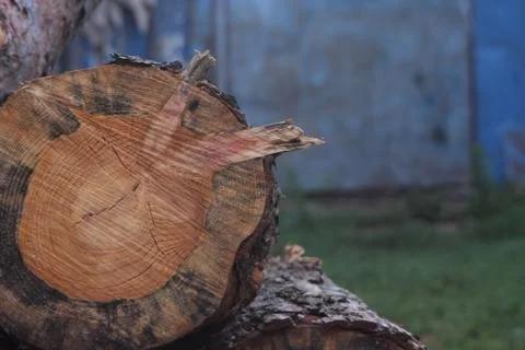 Timber Background Stock Photos