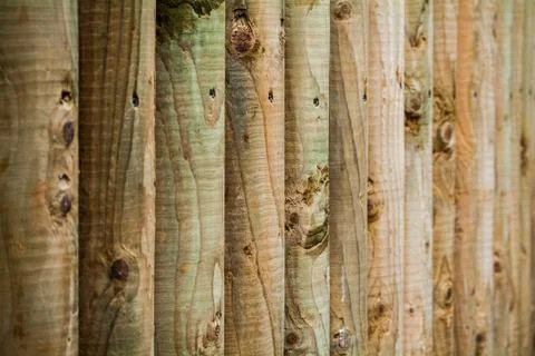 Timber background Stock Photos