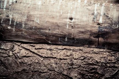 Timber background Stock Photos