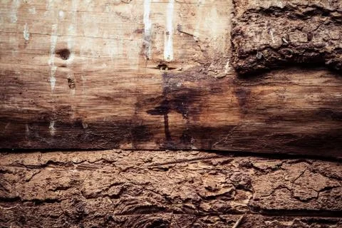 Timber background Stock Photos