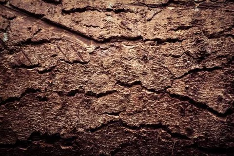 Timber background Stock Photos