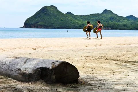 Timber on the beach in holiday Stock Photos