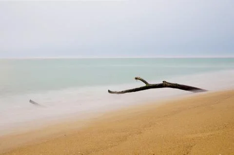 Timber On The Beach Stock Photos