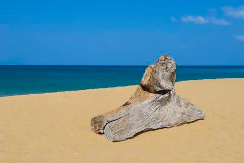 Timber on the beach Stock Photos