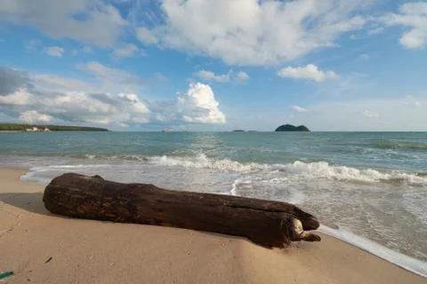 A timber on a beach Stock Photos