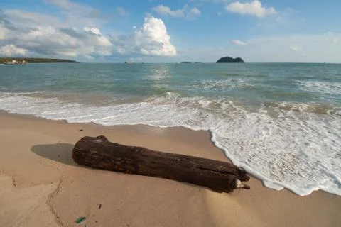 A timber on a beach Stock Photos